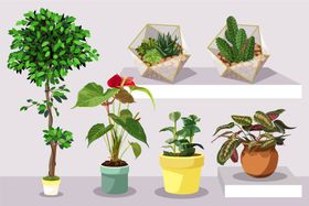 盆栽卡通绿植绿色植物