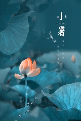 小暑宣传节气促销传统