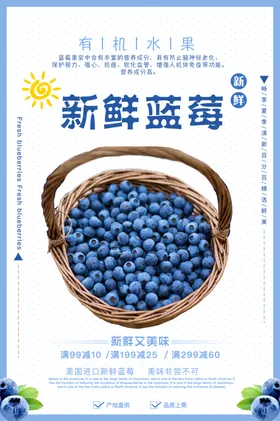 新鲜蓝莓促销活动宣传海报素材