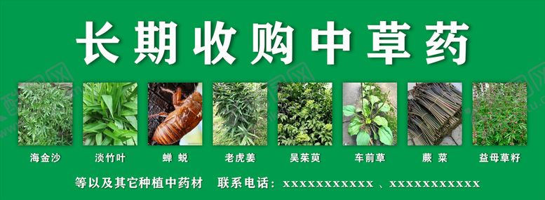 编号：54727510212347552519【酷图网】源文件下载-收购中草药
