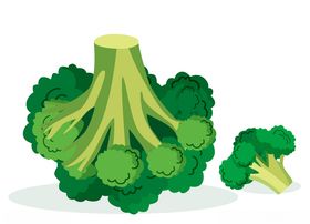 手绘西兰花
