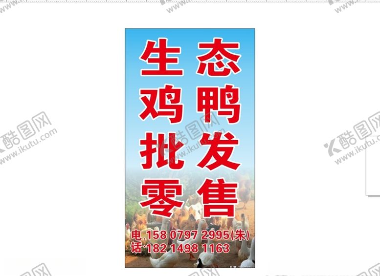 编号：91557205172222138103【酷图网】源文件下载-生态鸡鸭出售