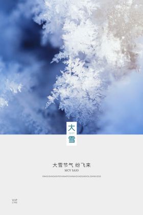 编号：08652709222350164536【酷图网】源文件下载-大雪海报