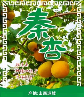 秦杏标签不干胶