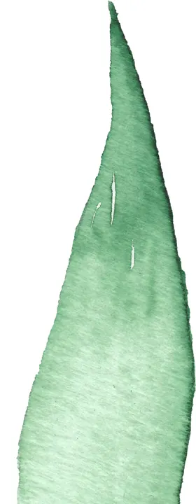 海报元素花草元素展架元素