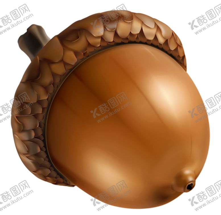 编号：61964910091420522138【酷图网】源文件下载-透明免扣橡果图片