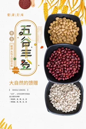 五谷杂粮海报店展架食店店