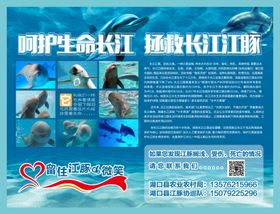 保护长江生命