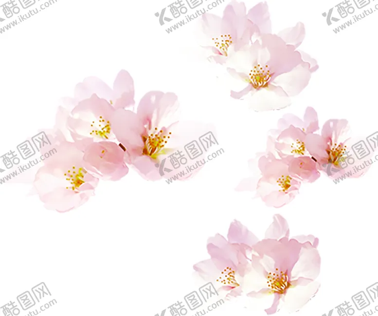 编号：42559006270310449707【酷图网】源文件下载-浪漫素材