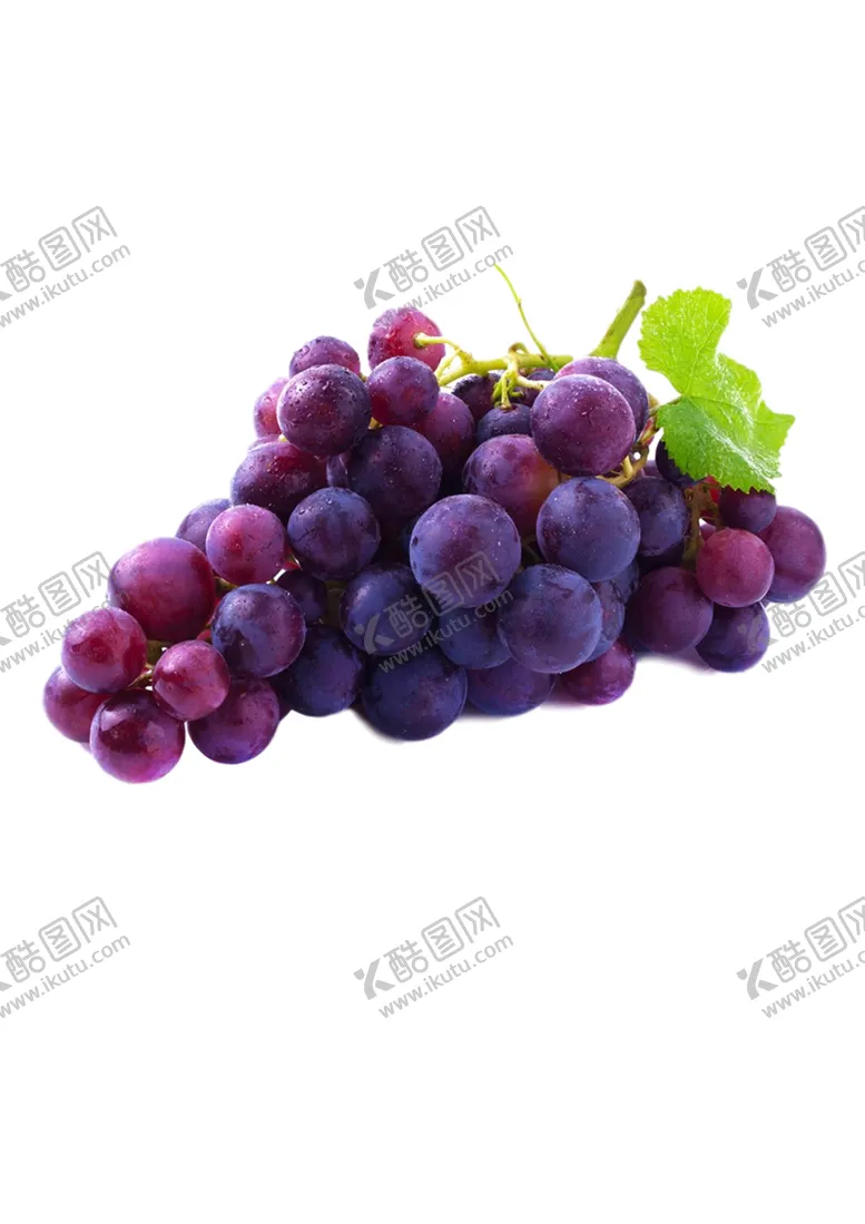 编号：29571205130040072527【酷图网】源文件下载-葡萄