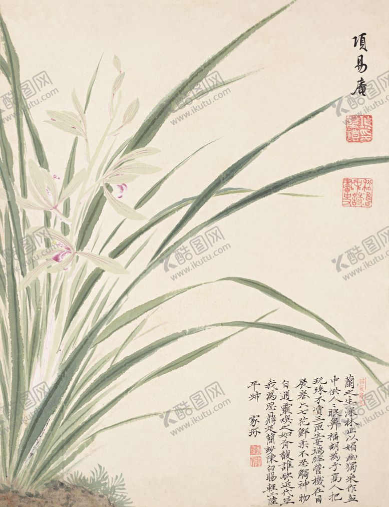 编号：42825306270426591875【酷图网】源文件下载-精美工笔花卉图