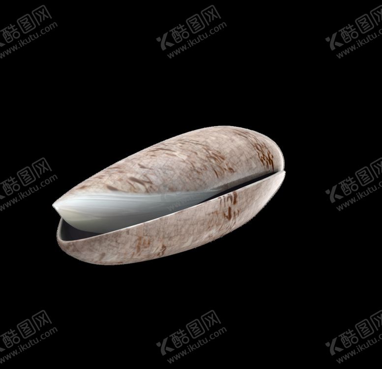 编号：70202109200904352033【酷图网】源文件下载-海洋生物