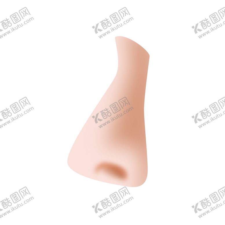 编号：45931809280029518943【酷图网】源文件下载-鼻子素材