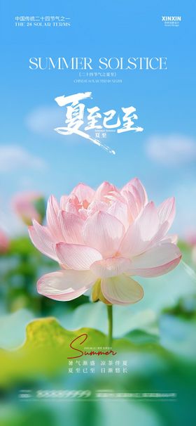 夏至节气海报