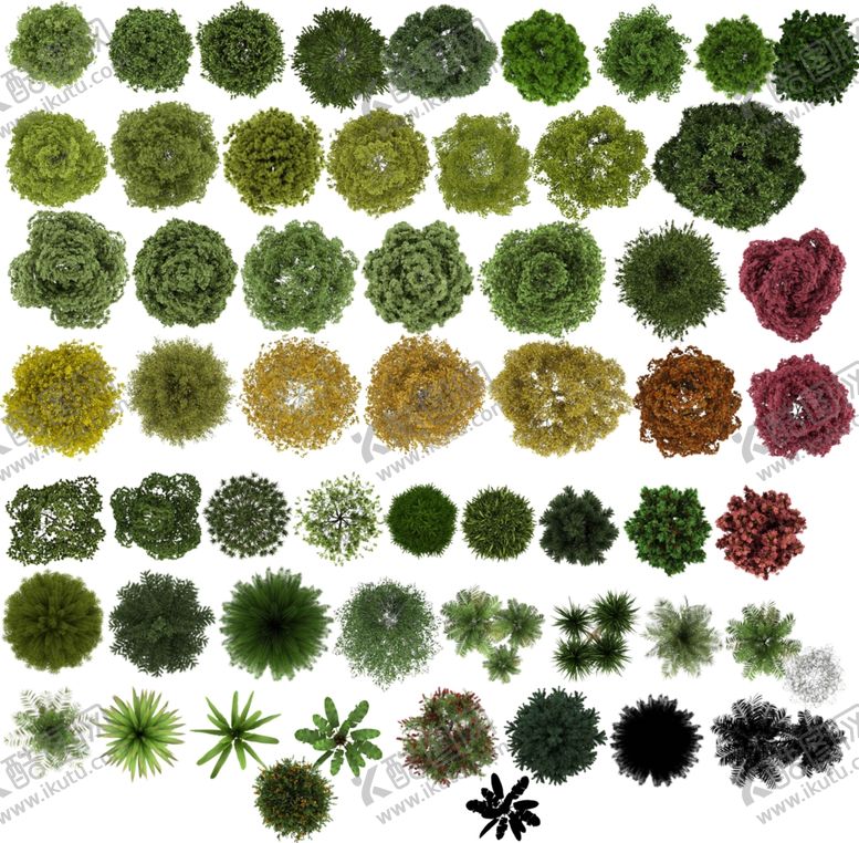编号：36943412301349075772【酷图网】源文件下载-园林花卉花草植物树木椰树