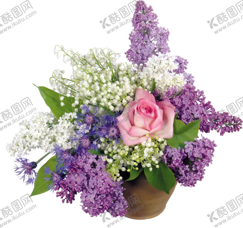 编号：72687711010153032618【酷图网】源文件下载-丁香花