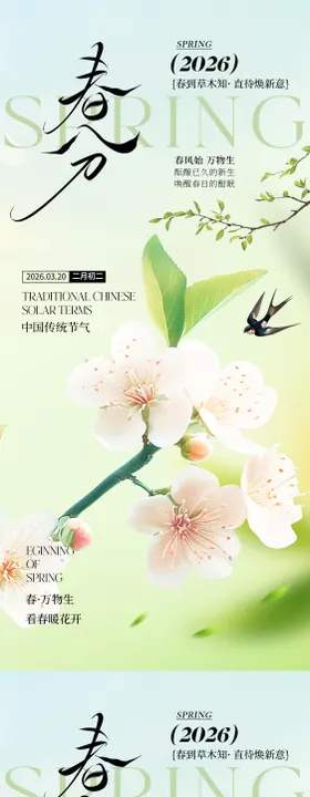春分节气海报