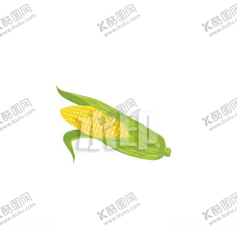 编号：27174706250204133742【酷图网】源文件下载-玉米