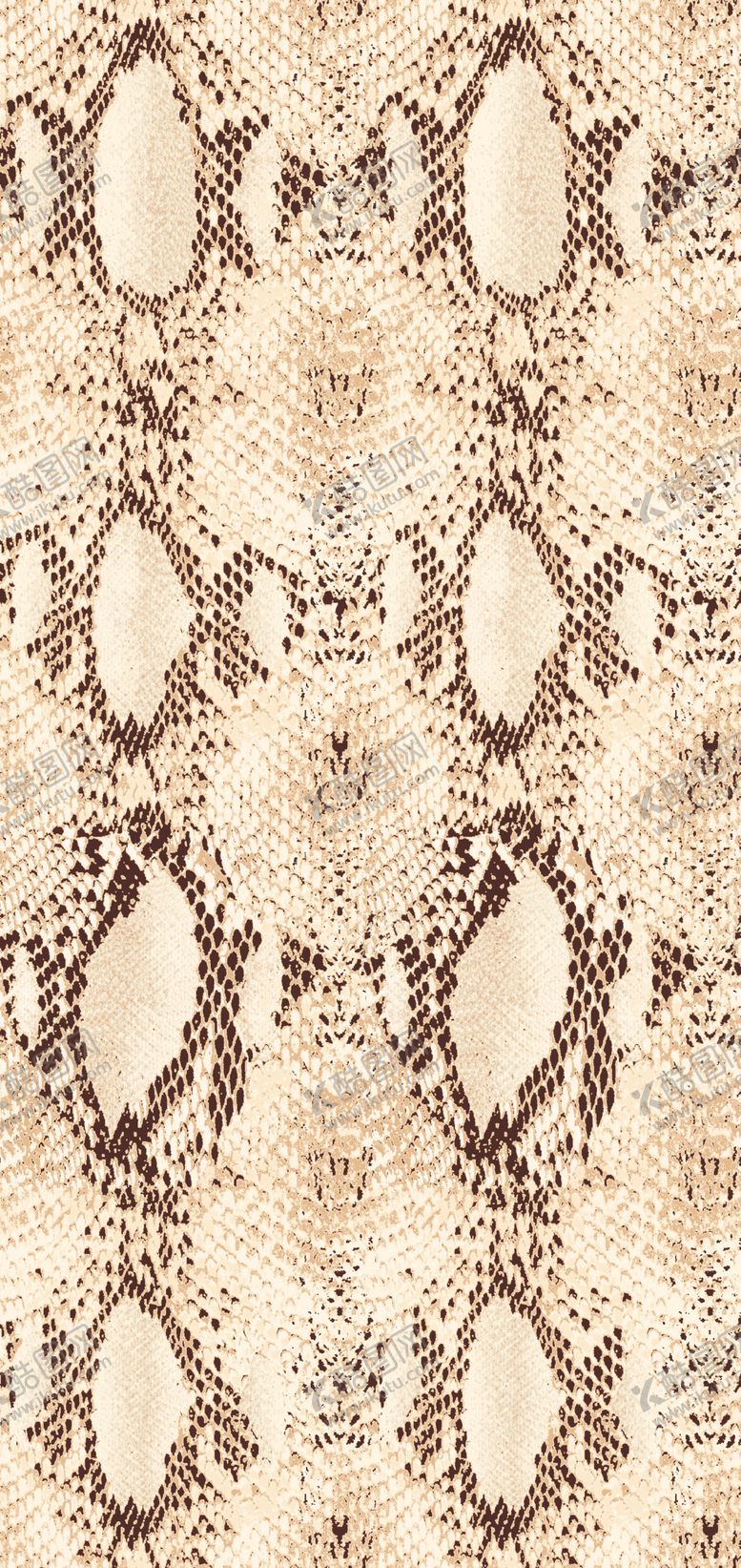 编号：80651909240856269948【酷图网】源文件下载-蛇纹花