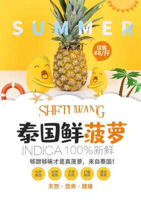 菠萝蜜宣传册泰国蜜蜜展架蜜封面