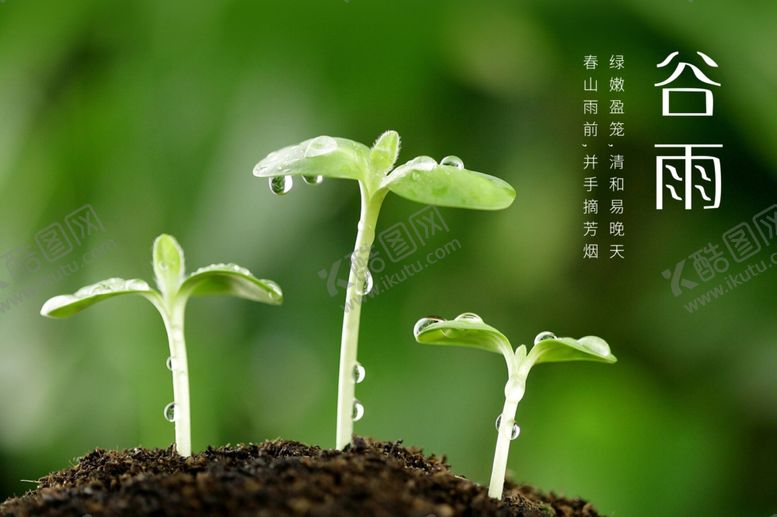 编号：74532907141330196692【酷图网】源文件下载-谷雨海报