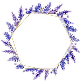薰衣草边框