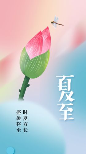 夏至传统节气西瓜海报