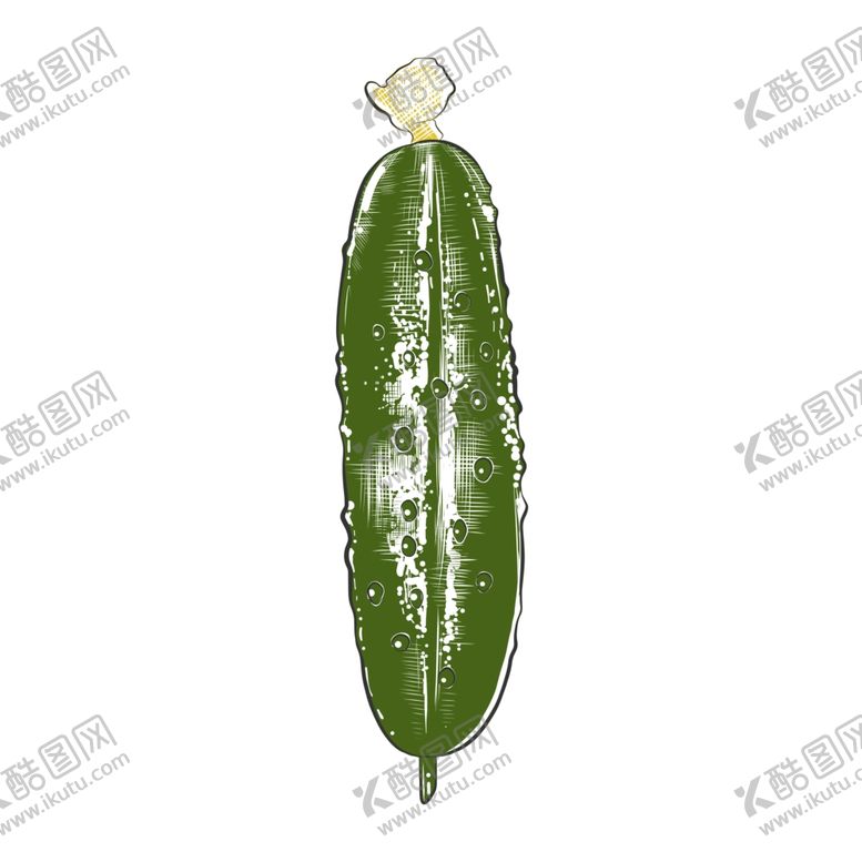 编号：80073009271807432439【酷图网】源文件下载-彩色素描蔬菜