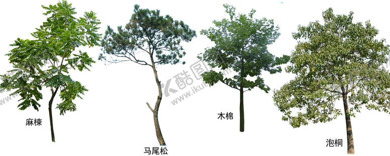 编号：97283409161019467826【酷图网】源文件下载-树