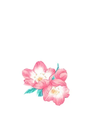 水墨传统国风花朵