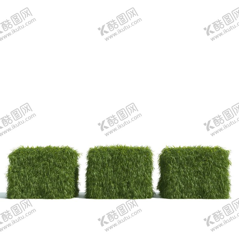 编号：50693402111854556297【酷图网】源文件下载-植物篱笆