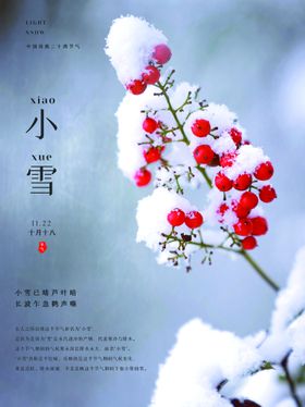 编号：45962809241614424389【酷图网】源文件下载-小雪