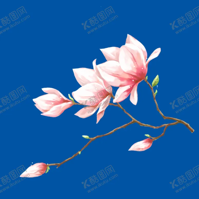 编号：57410706260400413043【酷图网】源文件下载-桃花
