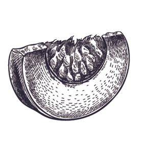 餐饮食物插画元素