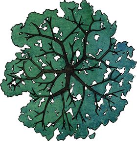 手绘植物园林绿树树叶树叶