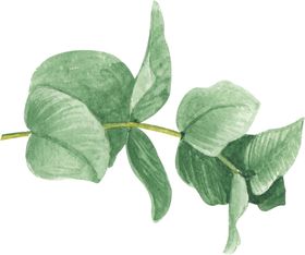 北欧小清新抽象花卉植物装饰画