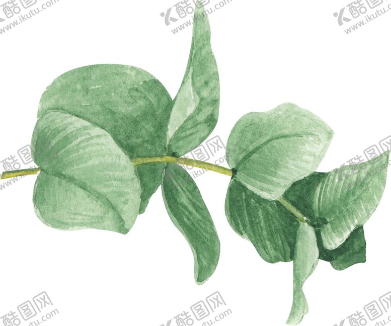 编号：60232307130955174818【酷图网】源文件下载-北欧小清新植物装饰