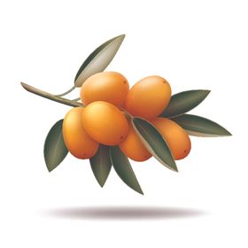 水果蔬菜拼盘手绘绿色