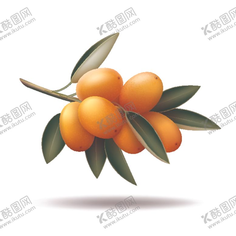 编号：29838106181138002940【酷图网】源文件下载-水果蔬菜