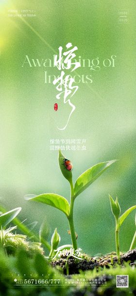 绿色小清新二十四传统节气惊蛰宣传海报