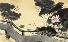 手绘插画荷花