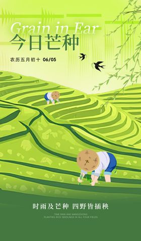 芒种
