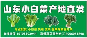 白菜门头