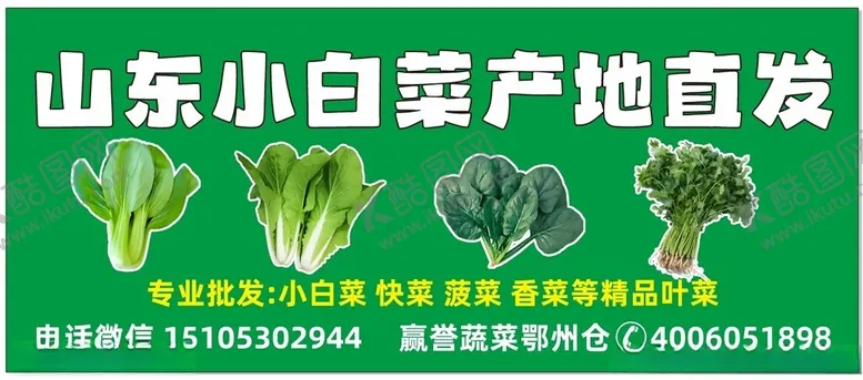 编号：69950906300311095012【酷图网】源文件下载-白菜门头