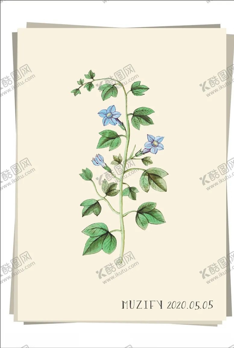 编号：15979907030737026634【酷图网】源文件下载-风铃草植物图鉴