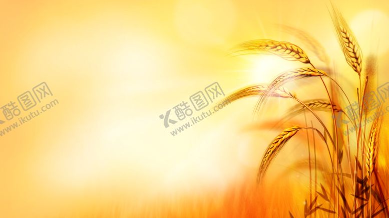 编号：85050009151323342372【酷图网】源文件下载-金色背景