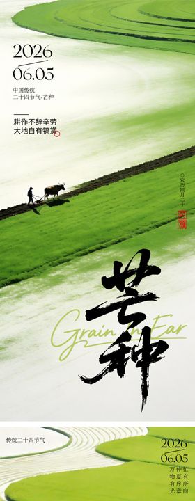 芒种节气海报