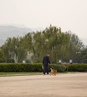 遛狗