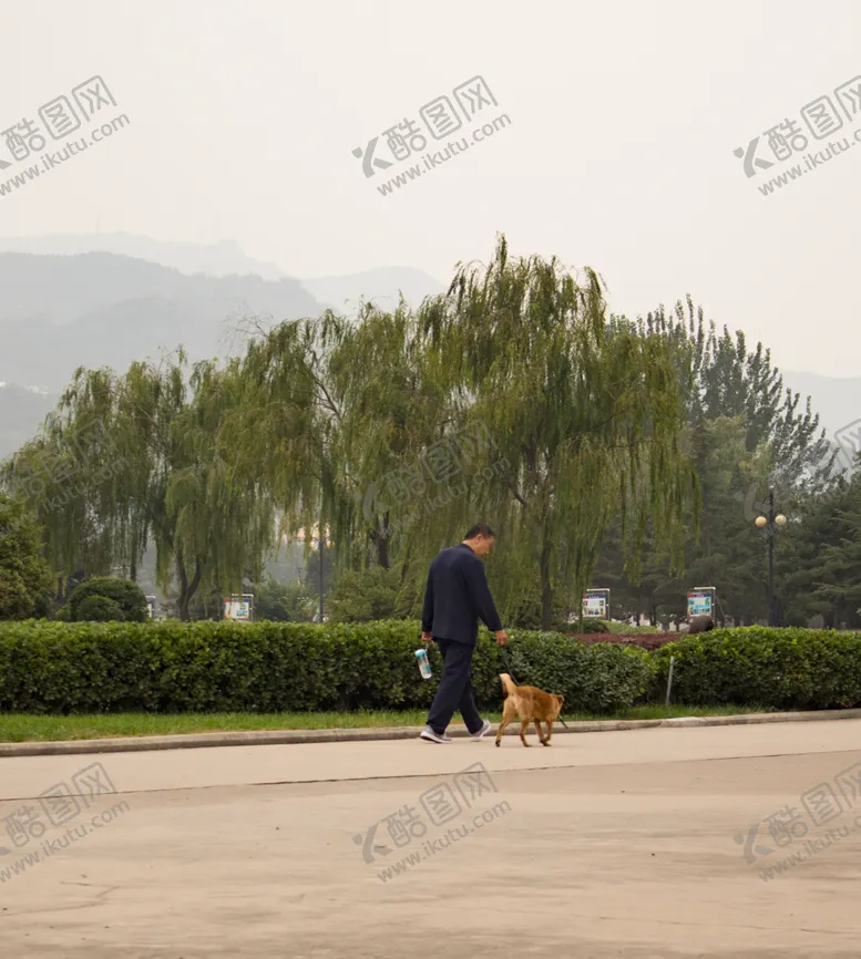 编号：28525306161926417210【酷图网】源文件下载-遛狗
