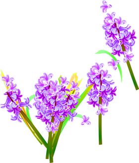 鲜花装饰